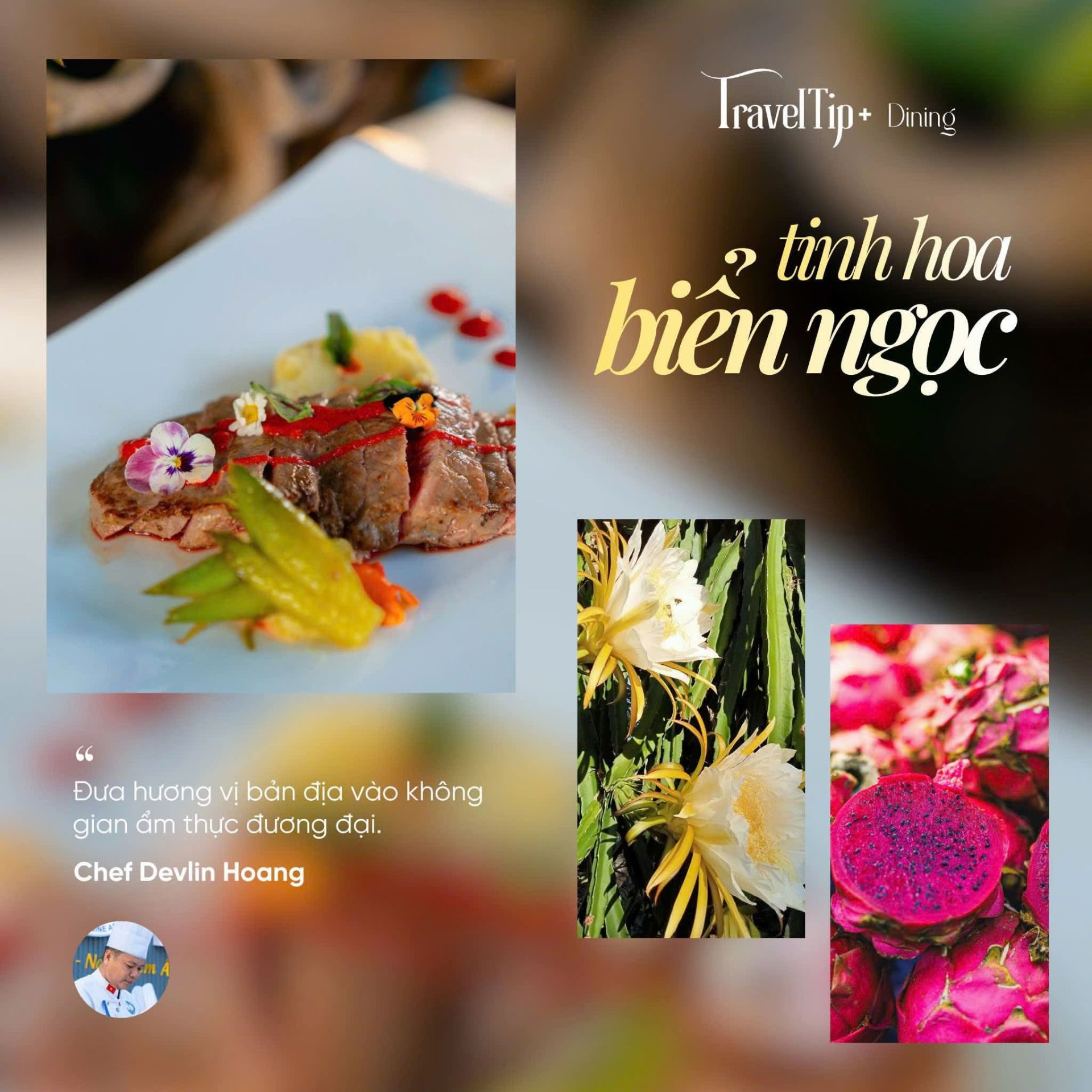 C&aacute;c m&oacute;n ăn được chế biến từ hoa thanh long sấy B&igrave;nh Thuận