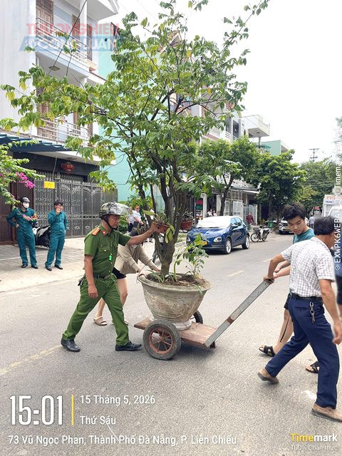 Qua thực hiện, lực lượng chức năng đ&atilde; th&aacute;o dỡ, thu giữ hơn 153 tang vật vi phạm; hỗ trợ hơn 60 trường hợp treo bảng hiệu đ&uacute;ng quy định; vận động, hỗ trợ di dời hơn 510 chậu c&acirc;y cảnh lấn chiếm vỉa h&egrave;;