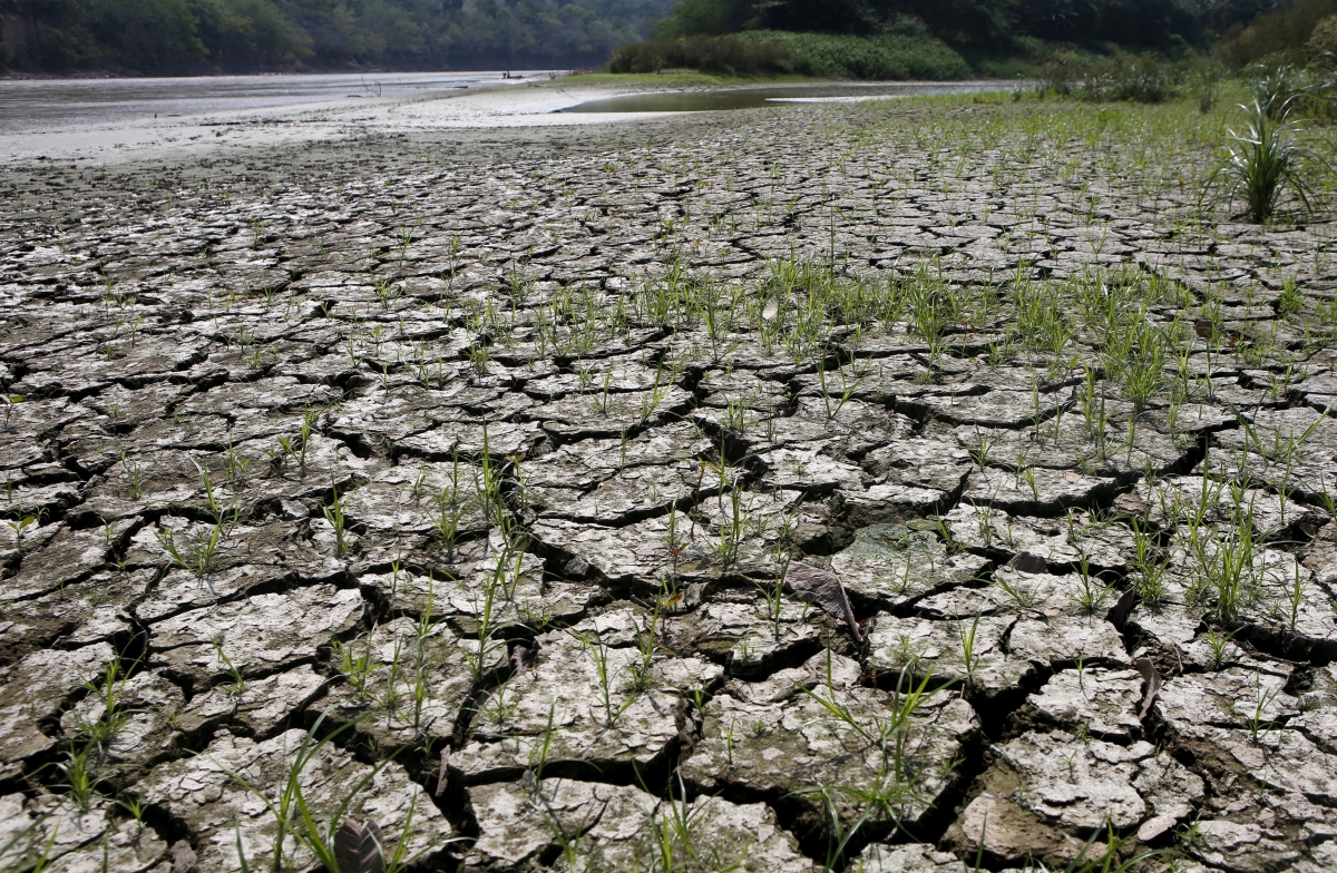 El Nino rất mạnh tác động đến Việt Nam: Cần chủ động ứng phó
