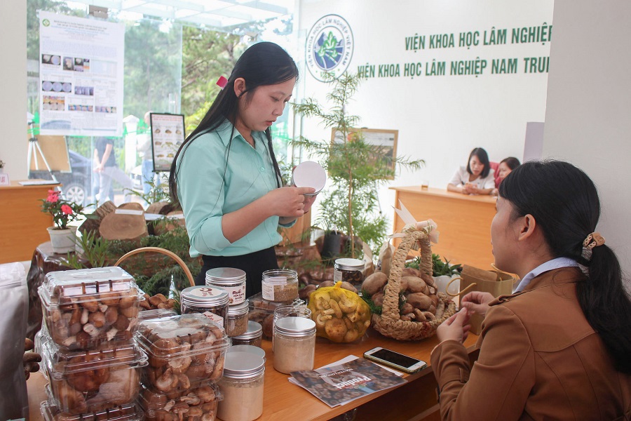 Chương tr&igrave;nh hỗ trợ ưu ti&ecirc;n doanh nghiệp khởi nghiệp, đổi mới s&aacute;ng tạo