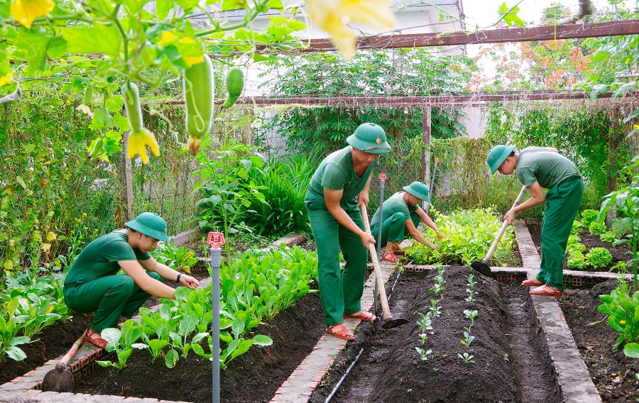 C&aacute;n bộ, chiến sĩ Đồn Bi&ecirc;n ph&ograve;ng Ninh Điền t&iacute;ch cực tăng gia sản xuất, cải thiện đời sống