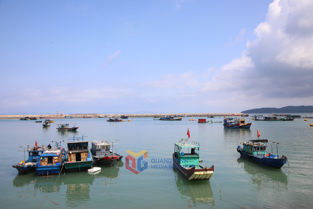 T&agrave;u thuyền neo đậu tại khu neo đậu tr&aacute;nh tr&uacute; b&atilde;o cho t&agrave;u c&aacute; đảo C&ocirc; T&ocirc;
