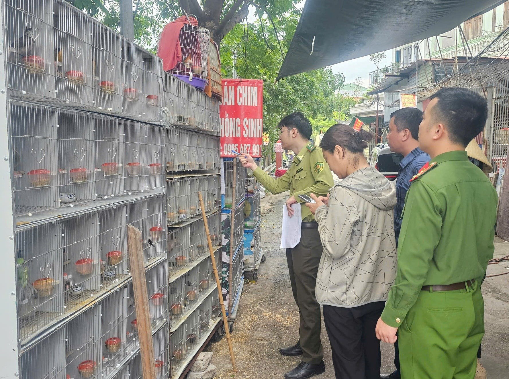 Hải Phòng: Phát hiện 3 trường hợp vi phạm mua, bán, nuôi nhốt động vật hoang dã