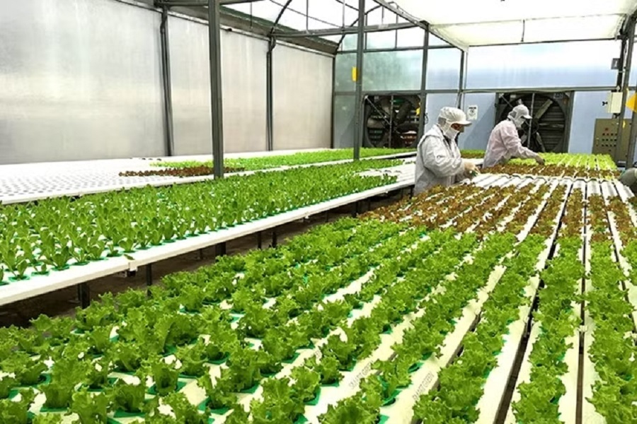 Khoa học, công nghệ và đổi mới sáng tạo: Động lực mới đưa Lâm Đồng bứt phá