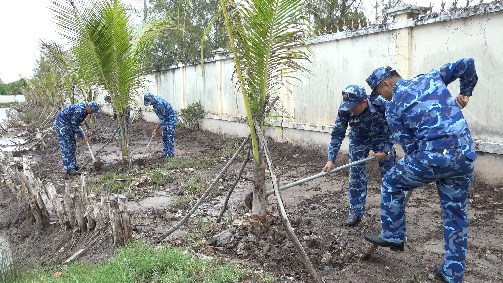 Hải đoàn 42 phát động trồng cây nhân Kỷ niệm 136 năm Ngày sinh Chủ tịch Hồ Chí Minh