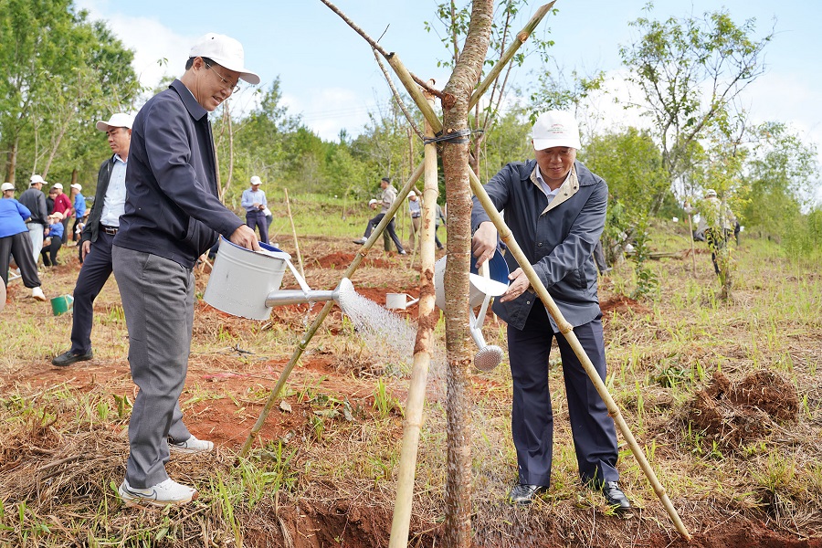 Ủy viên Ban Chấp hành Trung ương Đảng, Bí thư Tỉnh ủy, Trưởng Đoàn đại biểu Quốc hội tỉnh Y Thanh Hà Niê Kđăm hưởng ứng lễ trồng cây Ủy viên Ban Chấp hành Trung ương Đảng, Bí thư Tỉnh ủy, Trưởng Đoàn đại biểu Quốc hội tỉnh Y Thanh Hà Niê Kđăm hưởng ứng lễ trồng cây
