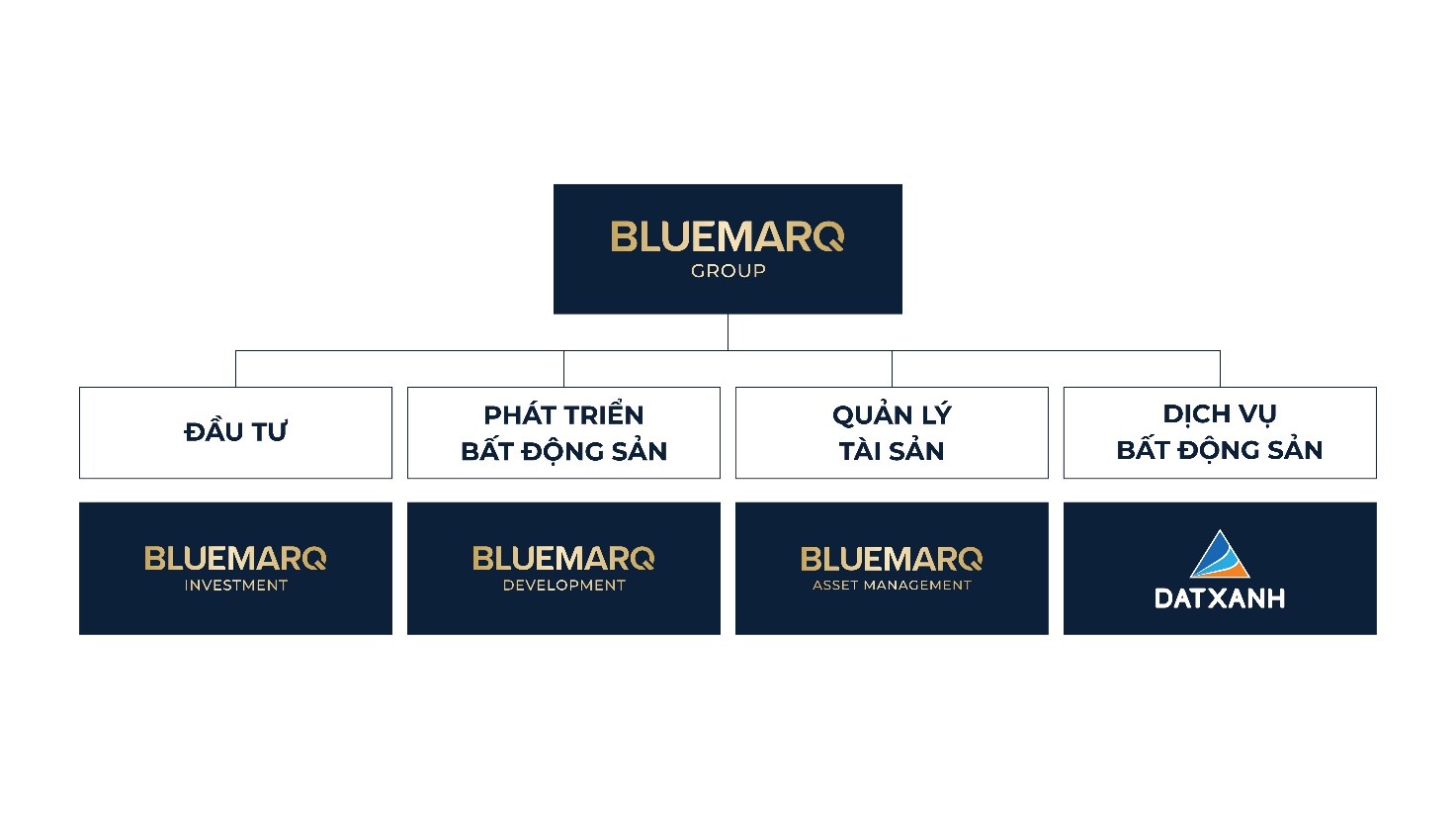 M&ocirc; h&igrave;nh hoạt động của BLUEMARQ GROUP