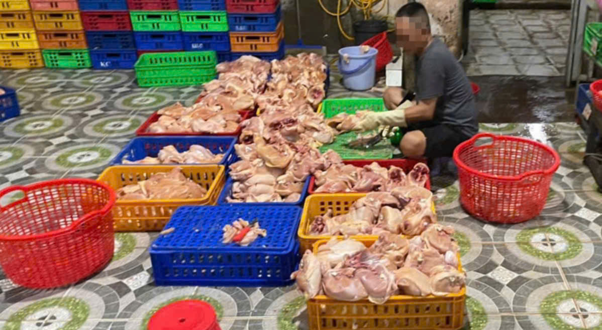 TP.HCM: Phát hiện cơ sở giết mổ gà trái phép, xử lý gần 1 tấn gà