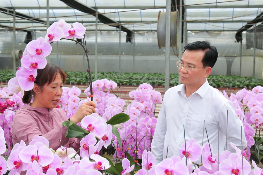 Ủy vi&ecirc;n Ban Chấp h&agrave;nh Trung ương Đảng, Ph&oacute; B&iacute; thư Tỉnh ủy, Chủ tịch UBND tỉnh L&acirc;m Đồng Hồ Văn Mười t&igrave;m hiểu quy tr&igrave;nh chăm s&oacute;c lan hồ điệp tại C&ocirc;ng ty TNHH Nova