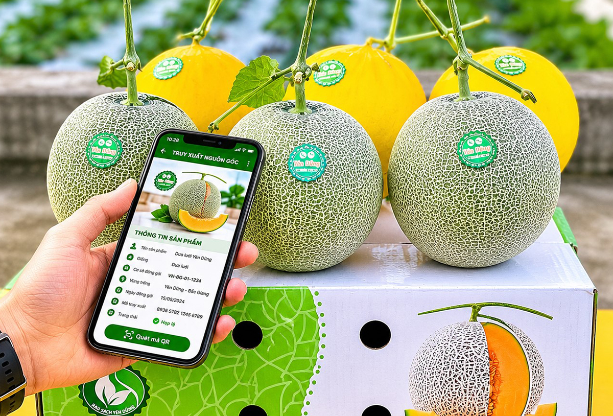 Hướng dẫn sử dụng địa chỉ tra cứu thông tin quy định kiểm dịch thực vật, an toàn thực phẩm phục vụ xuất khẩu