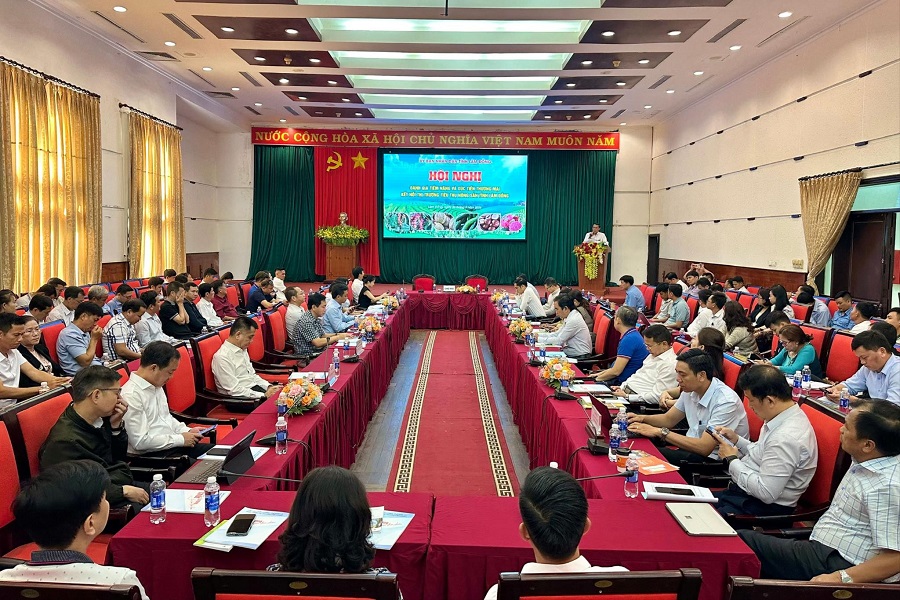 Lâm Đồng tăng tốc kết nối tiêu thụ nông sản, mở rộng thị trường trong và ngoài nước