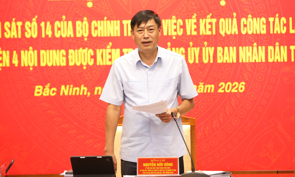 Đồng ch&iacute; Nguyễn Hữu Đ&ocirc;ng, Trưởng Đo&agrave;n Kiểm tra ph&aacute;t biểu kết luận.