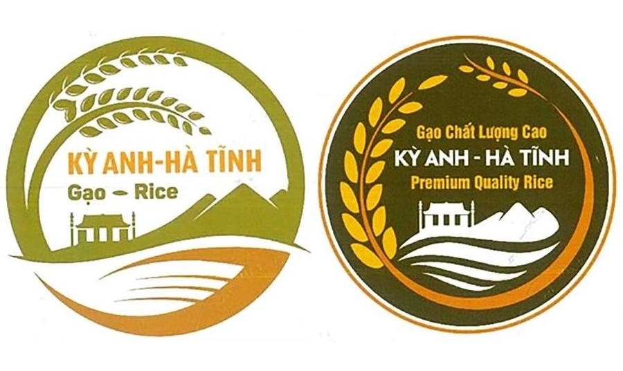 C&aacute;c nh&atilde;n hiệu được Cục Sở hữu tr&iacute; tuệ cấp giấy chứng nhận