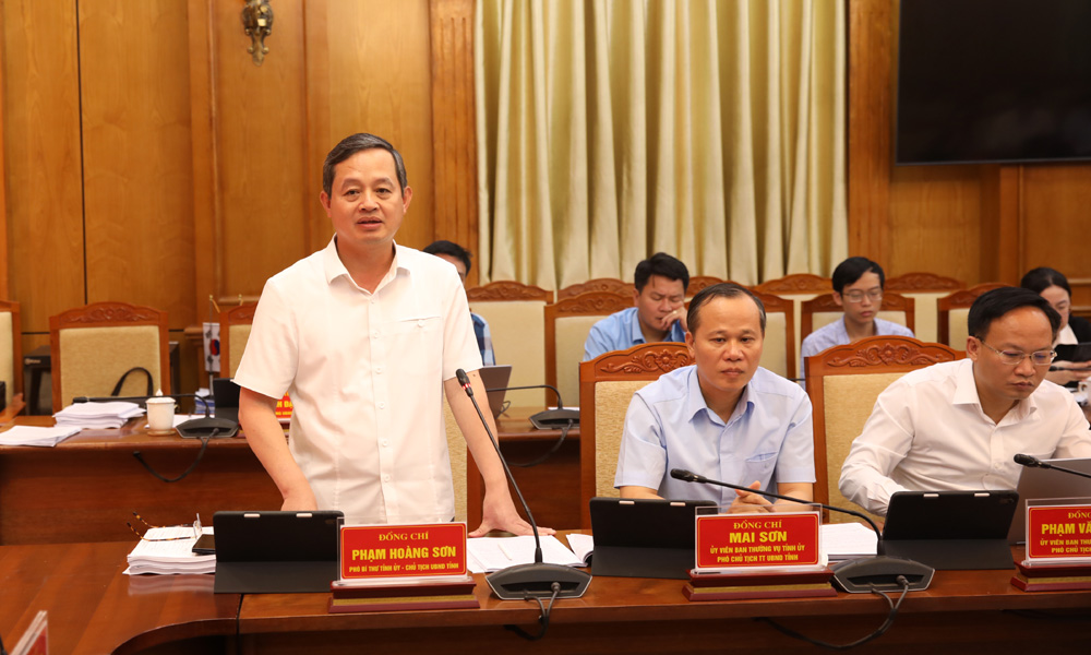 Đồng ch&iacute; Phạm Ho&agrave;ng Sơn, Ph&oacute; B&iacute; thư Tỉnh ủy, B&iacute; thư Đảng ủy, Chủ tịch UBND tỉnh ph&aacute;t biểu.