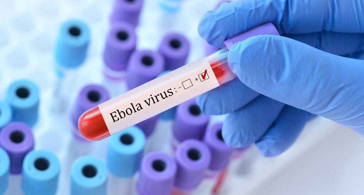 Hà Nội tăng cường phòng, chống bệnh do Ebola vi rút, siết giám sát tại sân bay Nội Bài