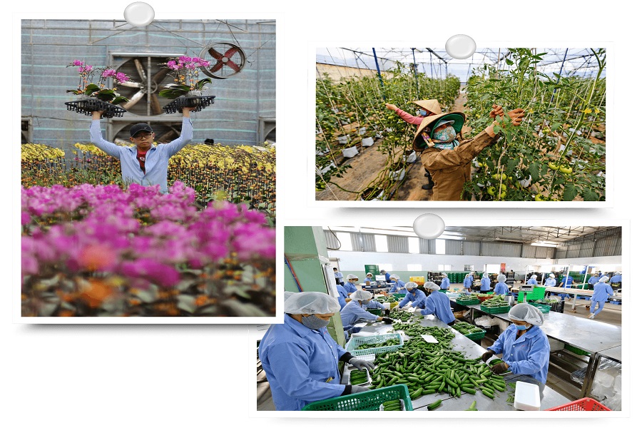 Ng&agrave;nh n&ocirc;ng nghiệp L&acirc;m Đồng đang đứng trước y&ecirc;u cầu phải đổi mới mạnh mẽ hơn, cả về tư duy sản xuất lẫn phương thức quản trị