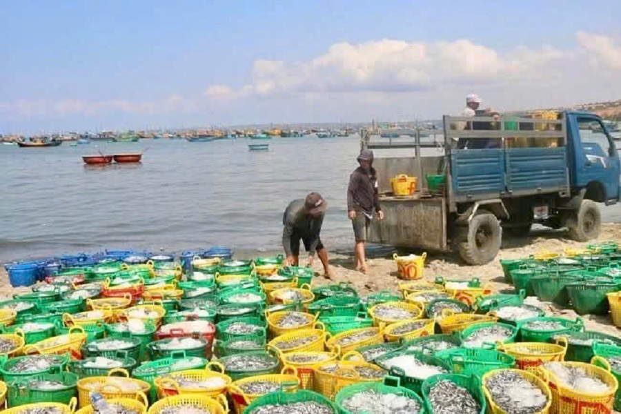 Ngư d&acirc;n L&acirc;m Đồng vừa 