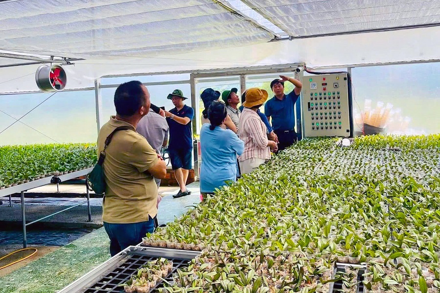 N&ocirc;ng nghiệp c&ocirc;ng nghệ cao L&acirc;m Đồng dẫn đầu cả nước. Ảnh: Diễm Thương