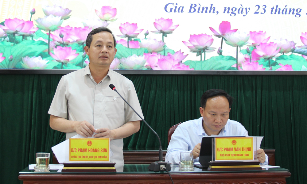 Chủ tịch UBND tỉnh Phạm Ho&agrave;ng Sơn chủ tr&igrave; hội nghị đ&aacute;nh gi&aacute; tiến độ giải ph&oacute;ng mặt bằng dự &aacute;n s&acirc;n bay Gia B&igrave;nh.