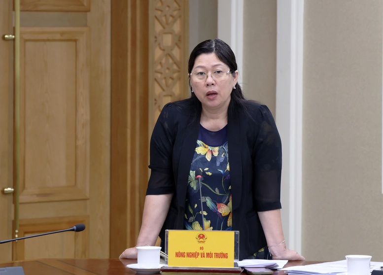 Thứ trưởng Bộ N&ocirc;ng nghiệp v&agrave; M&ocirc;i trường (NN&MT) Nguyễn Thị Phương Hoa b&aacute;o c&aacute;o tại cuộc họp - Ảnh: VGP/Gia Huy