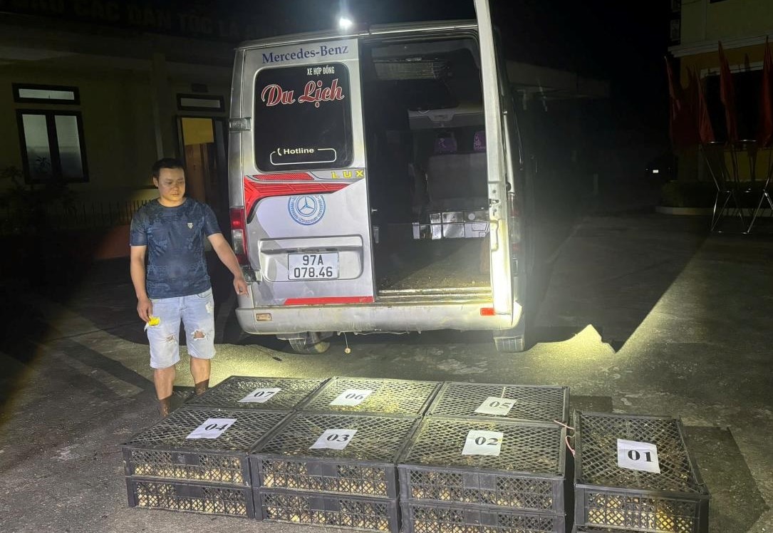 Bộ đội Biên phòng tỉnh Cao Bằng phối hợp bắt giữ 2.215 con gà giống nhập lậu