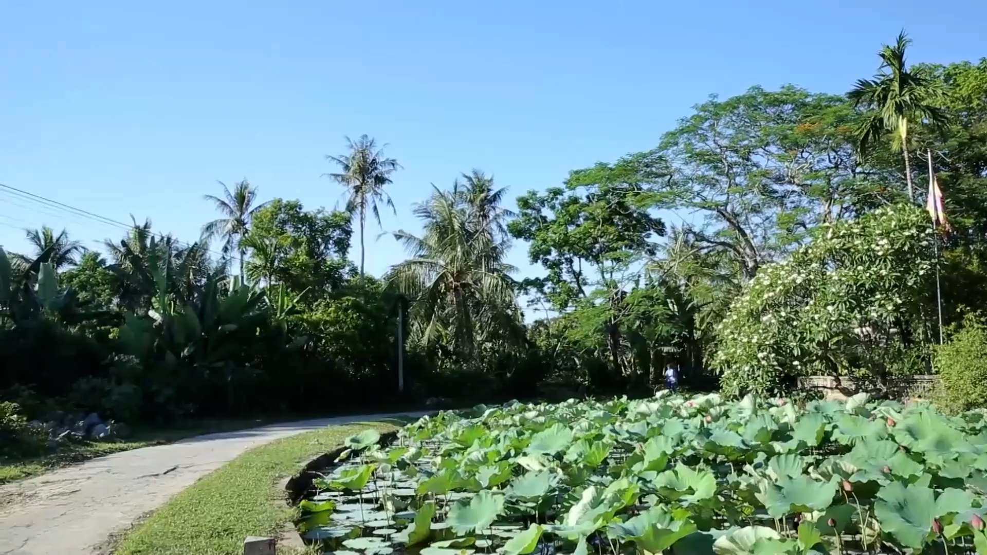 L&agrave;ng cổ Đ&ocirc;ng Sơn l&agrave; điểm đến quen thuộc của nhiều du kh&aacute;ch khi đến với xứ Thanh