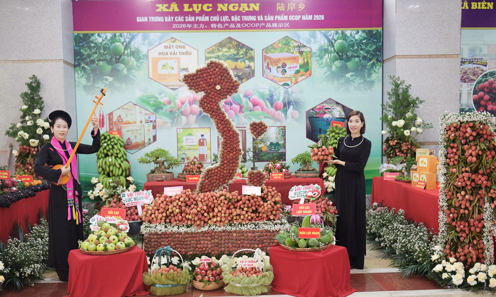 Bắc Ninh: Xúc tiến tiêu thụ vải thiều và các nông sản chủ lực, sản phẩm OCOP năm 2026.