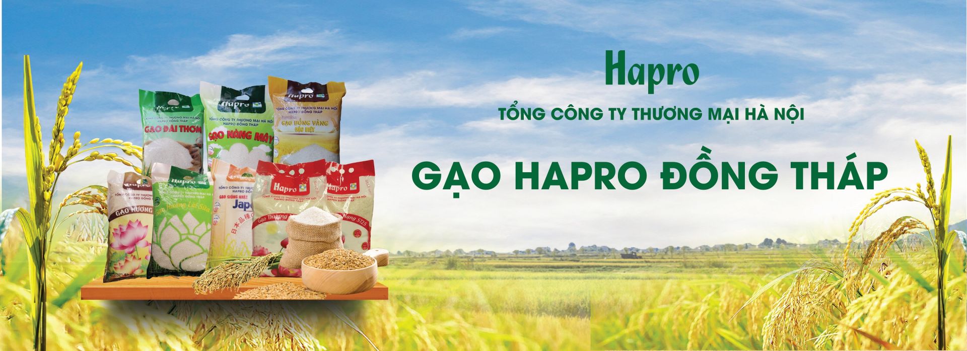 Sản phẩm gạo Hapro