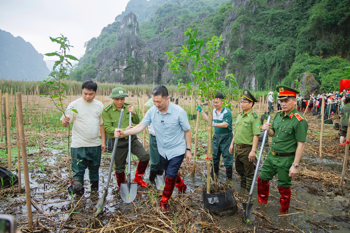 Những cây xanh được trồng tại vùng đất ngập nước Vân Long sẽ trở thành nguồn thức ăn cho loài voọc và góp phần gia tăng diện tích rừng tại khu vực Những cây xanh được trồng tại vùng đất ngập nước Vân Long sẽ trở thành nguồn thức ăn cho loài voọc và góp phần gia tăng diện tích rừng tại khu vực