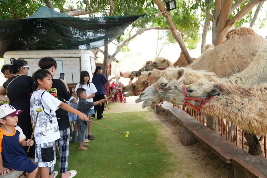 Khu du lịch B&agrave;u Trắng U&ME (x&atilde; H&ograve;a Thắng) l&agrave; một trong &iacute;t điểm du lịch cộng đồng tr&ecirc;n địa b&agrave;n tỉnh đạt chứng nhận OCOP 3 sao.