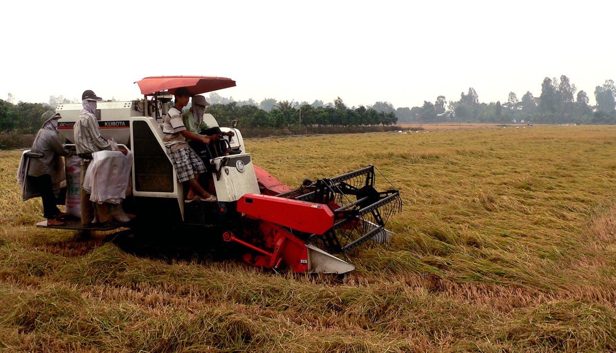 Đồng bằng sông Cửu Long: Thiếu một hệ sinh thái doanh nghiệp đủ mạnh để biến các tiềm năng thành giá trị kinh tế và tăng trưởng bền vững