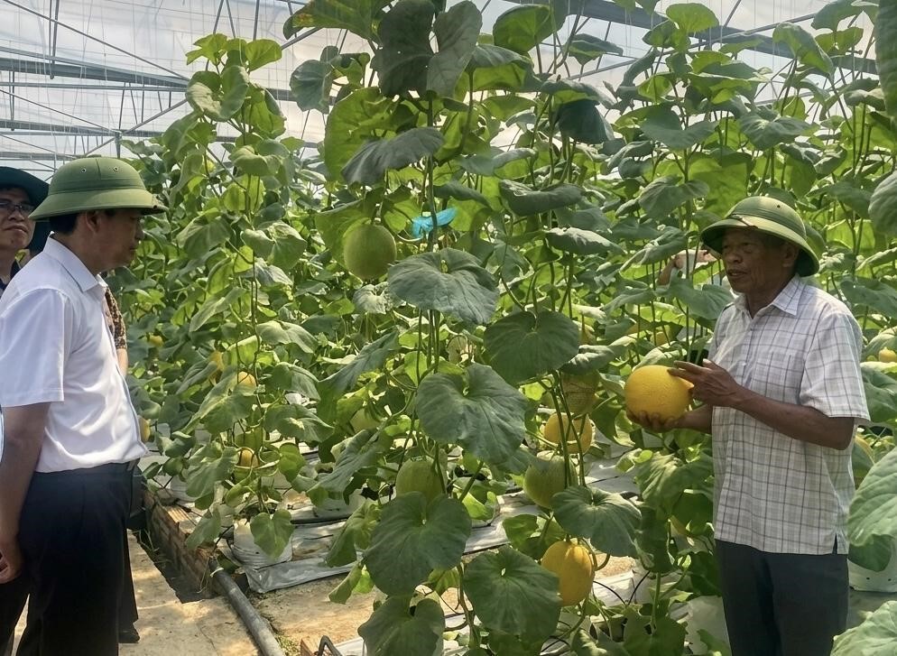 C&aacute;c đại biểu tham quan m&ocirc; h&igrave;nh nh&agrave; m&agrave;ng, nh&agrave; lưới tại Hợp t&aacute;c x&atilde; T&acirc;n Minh Đức.
