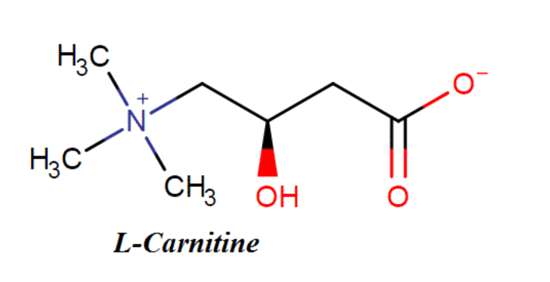 L-Carnitine fumarate gi&uacute;p t&aacute;i tạo da, ngăn mề đay, dị ứng t&aacute;i ph&aacute;t