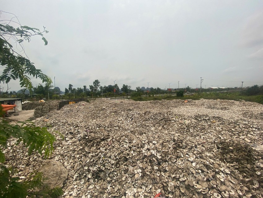 Hiện trường tập kết vỏ h&agrave;u