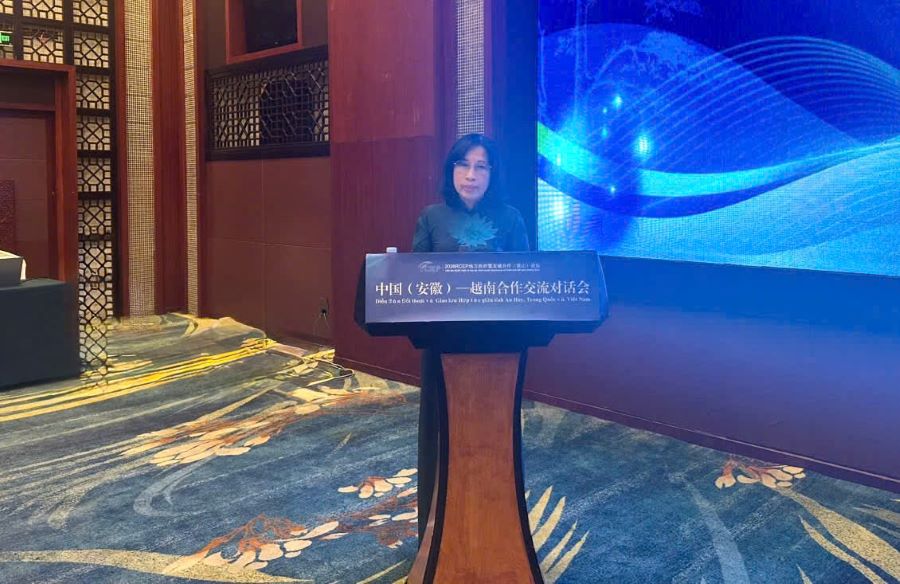 B&agrave; Đặng Thị Ngọc Mai, Tỉnh ủy vi&ecirc;n, Ph&oacute; Chủ tịch HĐND tỉnh, Trưởng đo&agrave;n c&ocirc;ng t&aacute;c tỉnh T&acirc;y Ninh ph&aacute;t biểu tại hội nghị