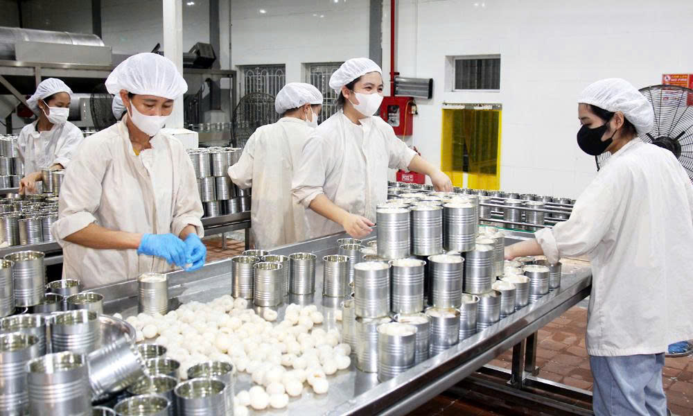 Bắc Ninh: Hỗ trợ doanh nghiệp xuất khẩu vải sấy sang Trung Quốc