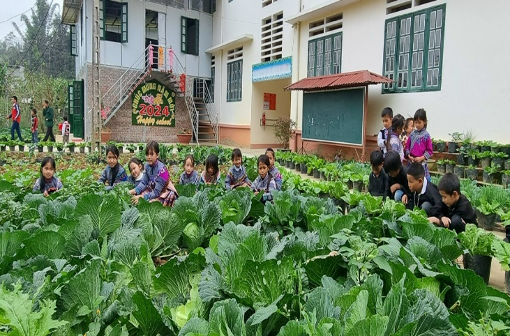 Học sinh tham gia c&aacute;c hoạt động trải nghiệm
