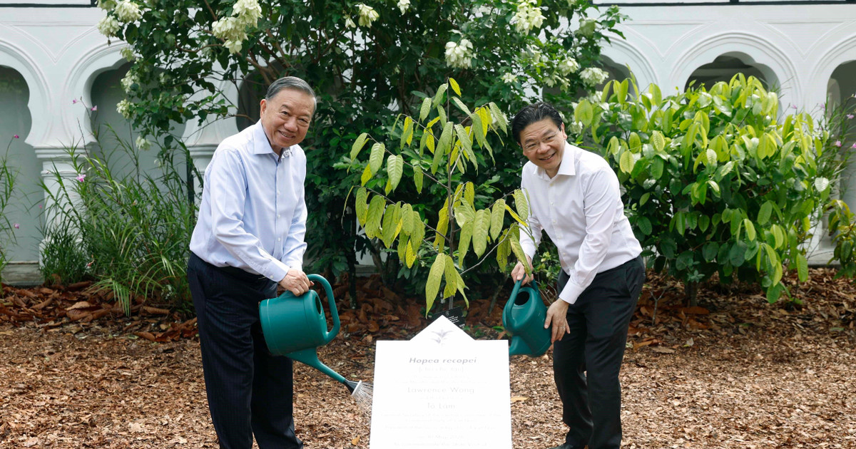 Tổng Bí thư, Chủ tịch nước Tô Lâm và Thủ tướng Singapore Lawrence Wong trồng cây lưu niệm. (Ảnh: TTXVN) Tổng Bí thư, Chủ tịch nước Tô Lâm và Thủ tướng Singapore Lawrence Wong trồng cây lưu niệm. (Ảnh: TTXVN)