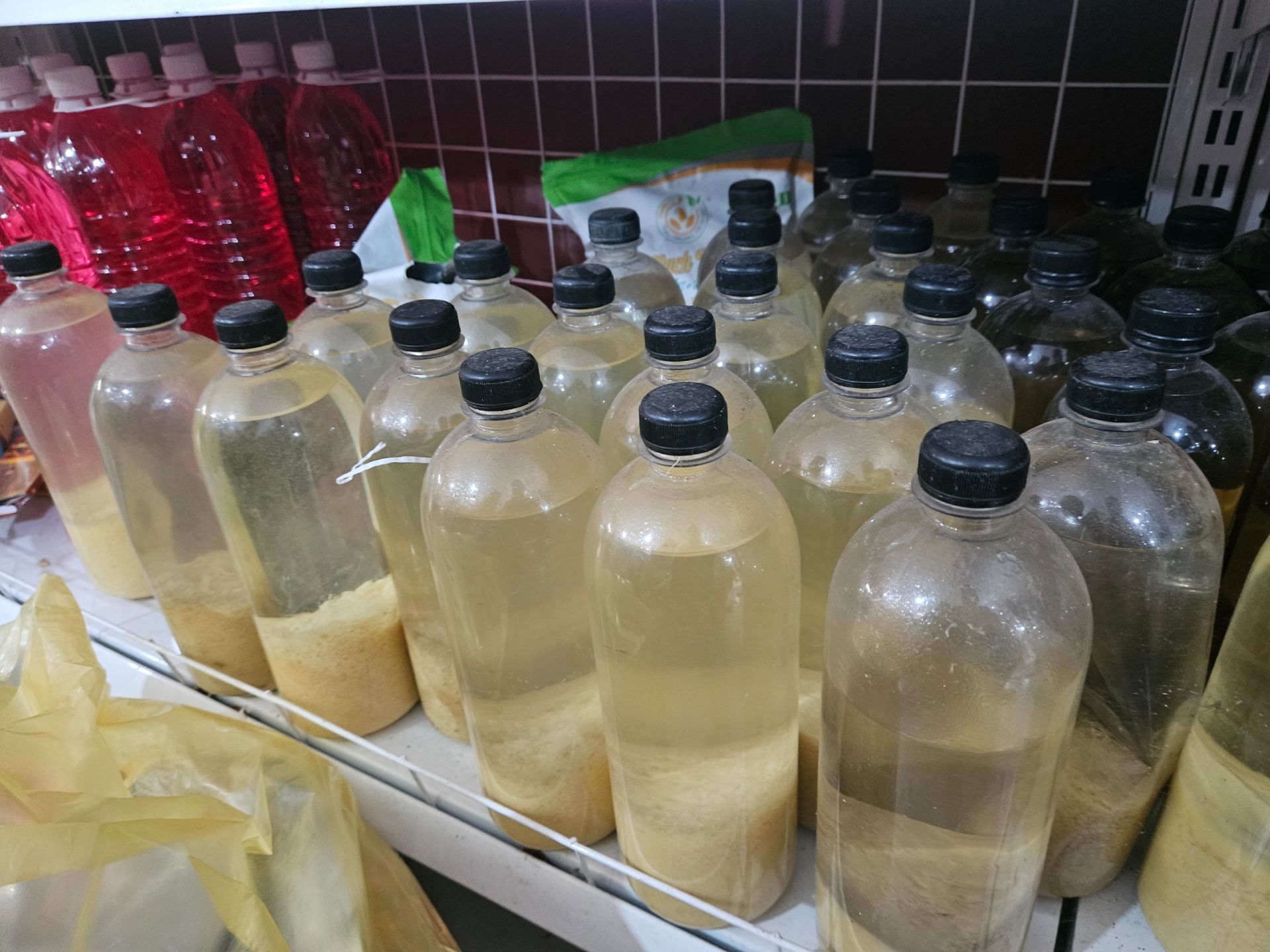 Mặt hàng được chủ cơ sở cho biết là dầu gừng Mặt hàng được chủ cơ sở cho biết là dầu gừng