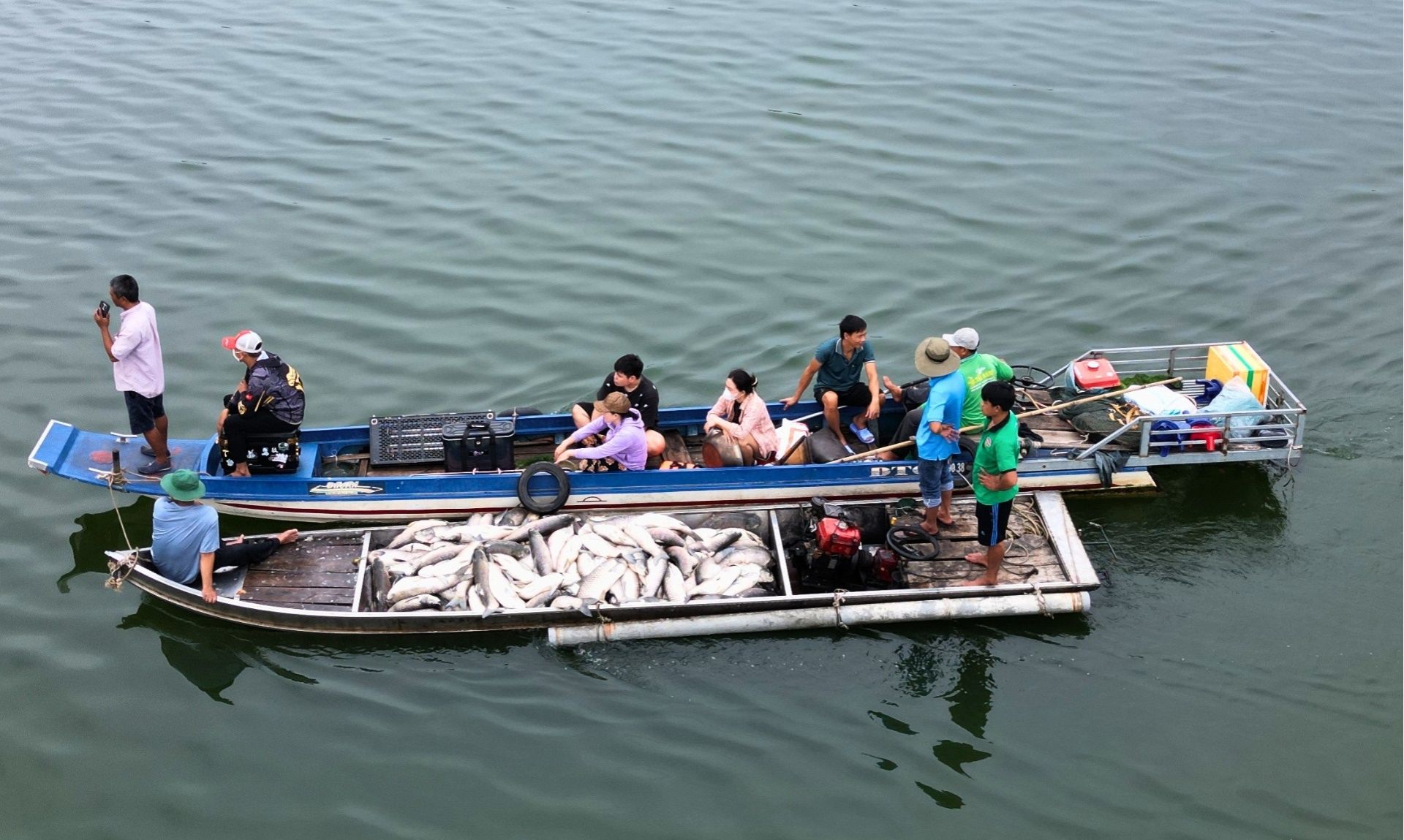 Cá chết hàng loạt sau cơn mưa kéo dài khiến người nuôi trên hồ Trị An không kịp trở tay. Cá chết hàng loạt sau cơn mưa kéo dài khiến người nuôi trên hồ Trị An không kịp trở tay.
