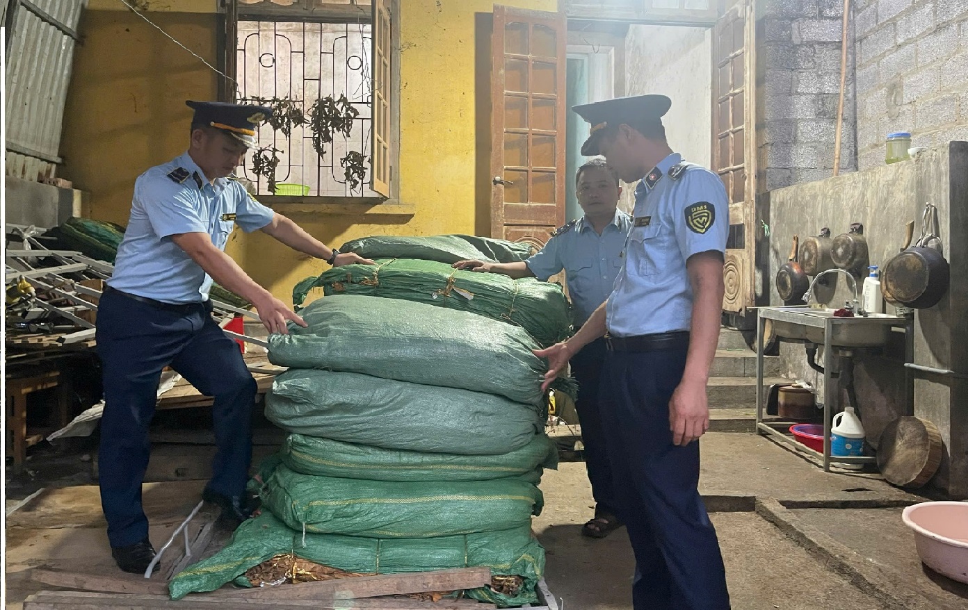 Cao Bằng: Thu giữ hơn 700 kg lá thuốc lá khô không rõ nguồn gốc tại Trùng Khánh