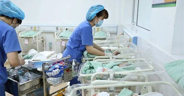 Ảnh minh họa (Nguồn: Internet) Ảnh minh họa (Nguồn: Internet)