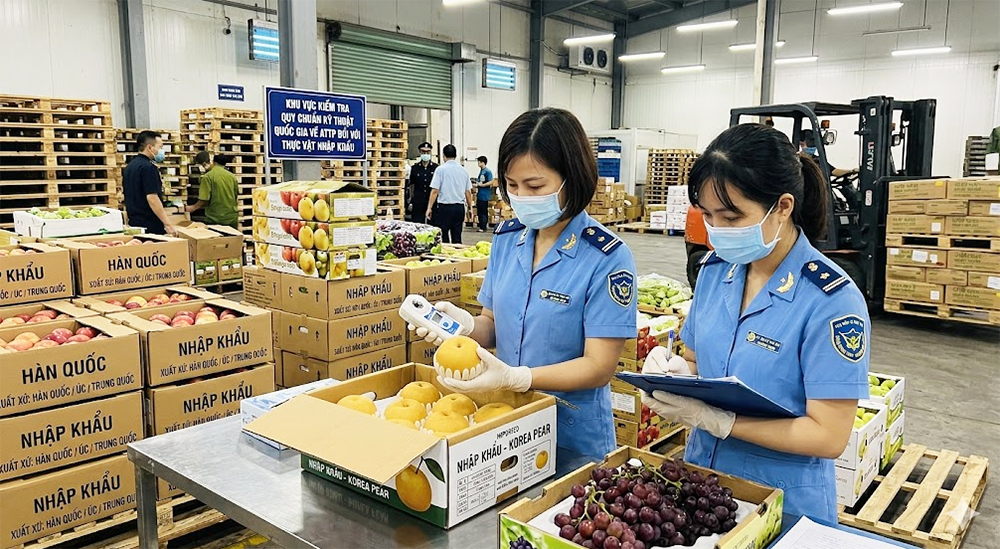 Triển khai phân cấp kiểm tra an toàn thực phẩm đối với thực phẩm có nguồn gốc thực vật nhập khẩu từ ngày 1/9