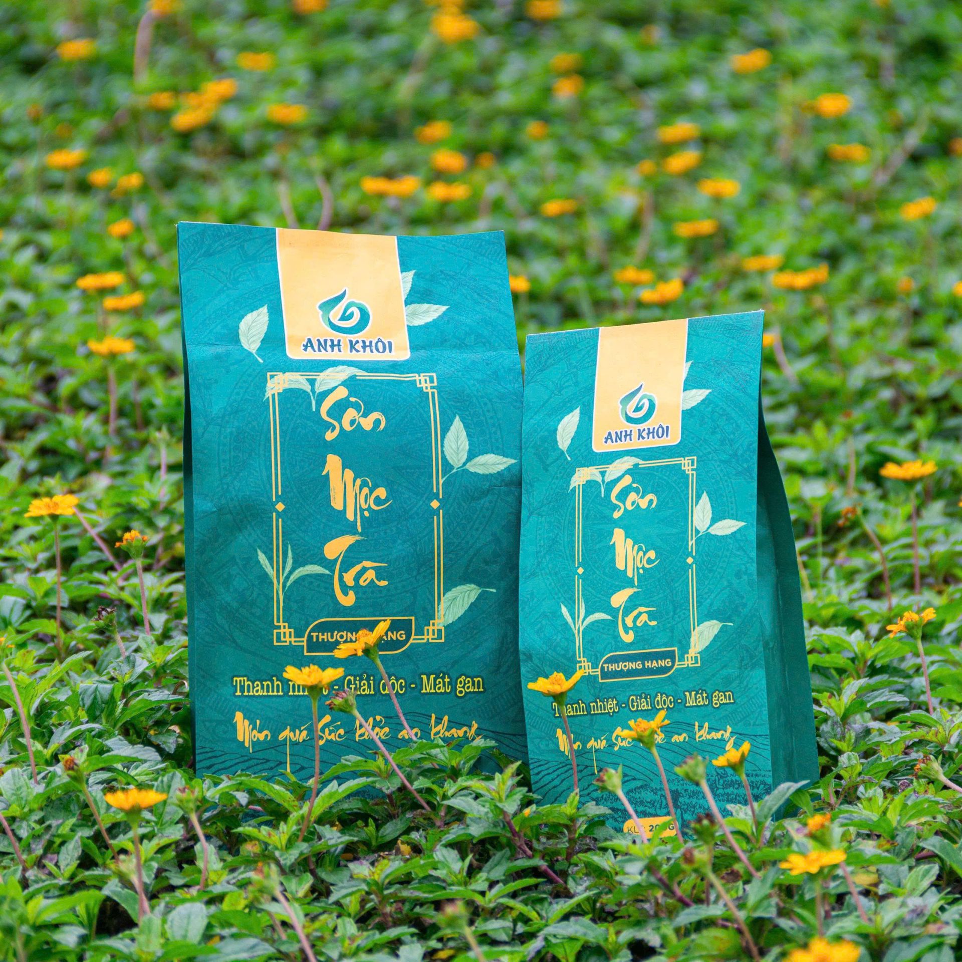 Hành trình từ những chiếc lá ổi đến sự ra đời của sản phẩm OCOP mang thương hiệu Sơn Mộc Trà