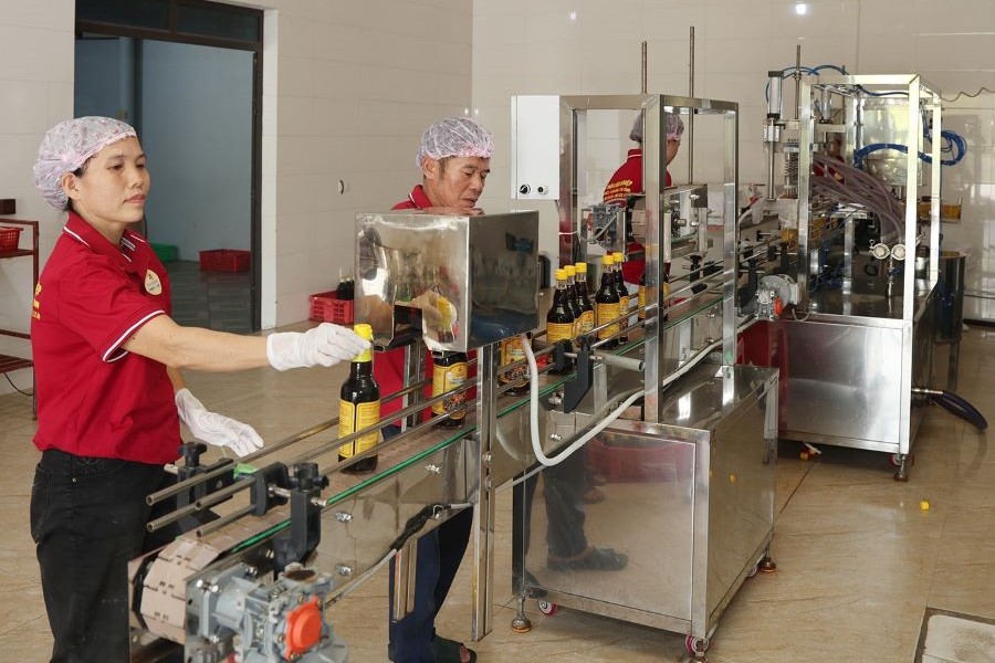 H&agrave; Tĩnh phấn đấu đến năm đ&agrave;o tạo, n&acirc;ng cao kỹ năng nghề cho hơn 10.000 lao động n&ocirc;ng th&ocirc;n