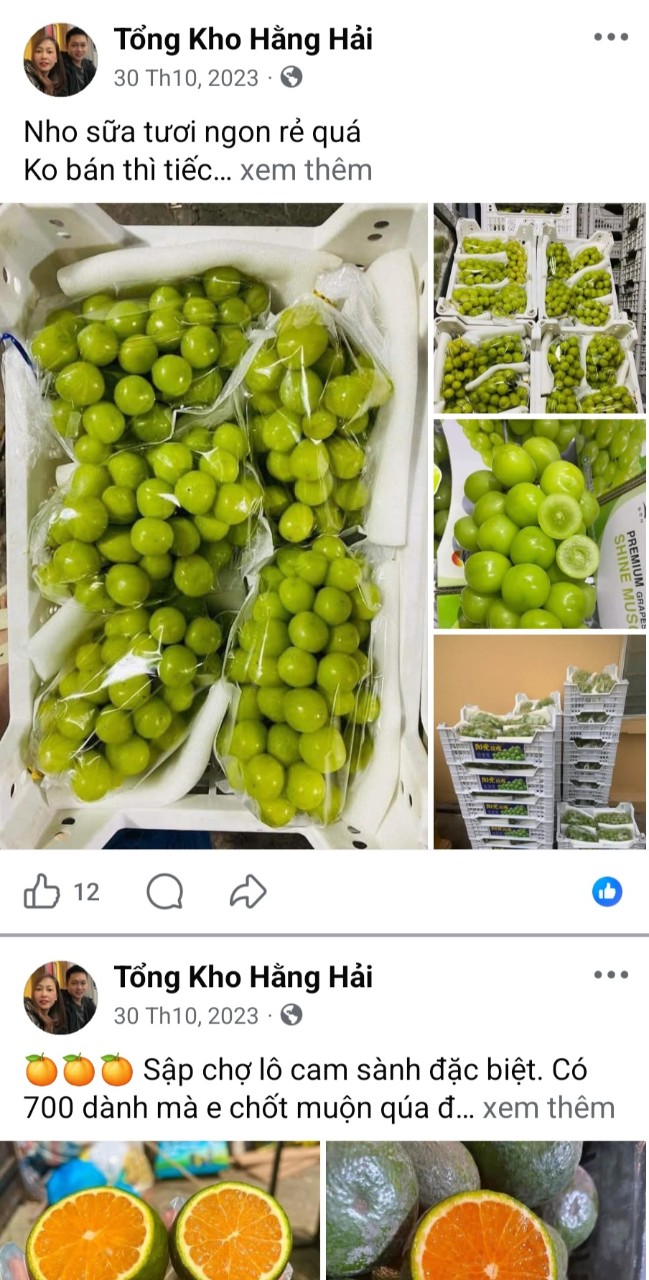 rước đó, cơ sở này cũng thường xuyên giới thiệu, quảng cáo bán hàng trên trang Facebook mang tên “Tổng kho Hằng Hải” rước đó, cơ sở này cũng thường xuyên giới thiệu, quảng cáo bán hàng trên trang Facebook mang tên “Tổng kho Hằng Hải”