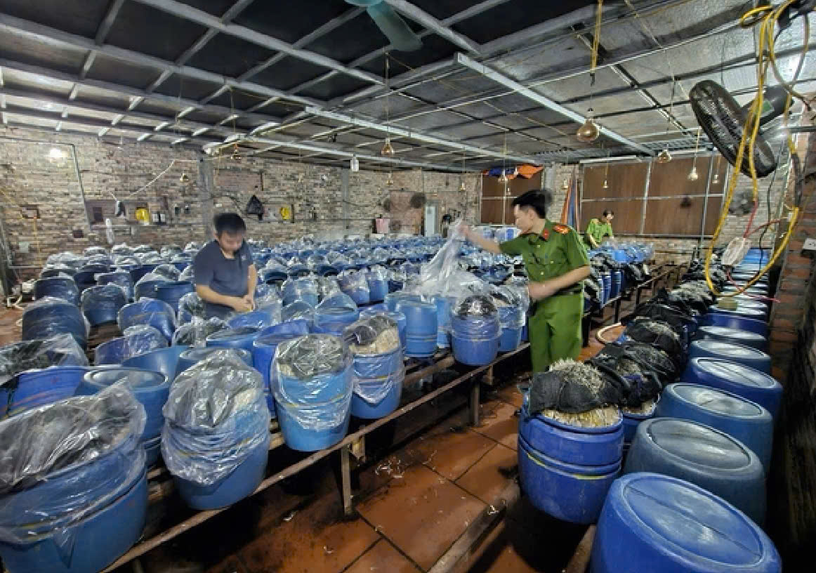 Bắc Ninh: Khởi tố 3 đối tượng sản xuất, tiêu thụ gần 1.000 tấn giá đỗ ngâm hóa chất cấm