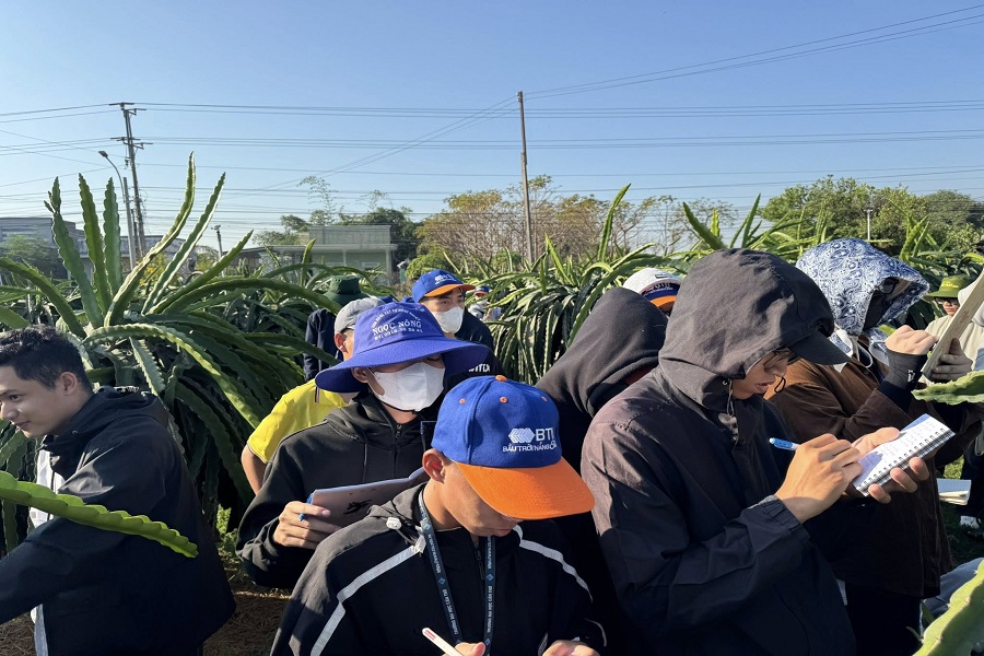 HTX Thanh long sạch Hòa Lệ: Điểm đến trải nghiệm hấp dẫn giữa miền quê Lâm Đồng