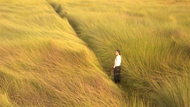 &ldquo;C&aacute;nh đồng bất tận&rdquo; sẽ chiếu tại chương tr&igrave;nh &ldquo;Diện mạo điện ảnh Việt Nam 40 năm Đổi mới&rdquo; ở LHP Ch&acirc;u &Aacute; Đ&agrave; Nẵng sắp tới. Ảnh: Nh&agrave; sản xuất.