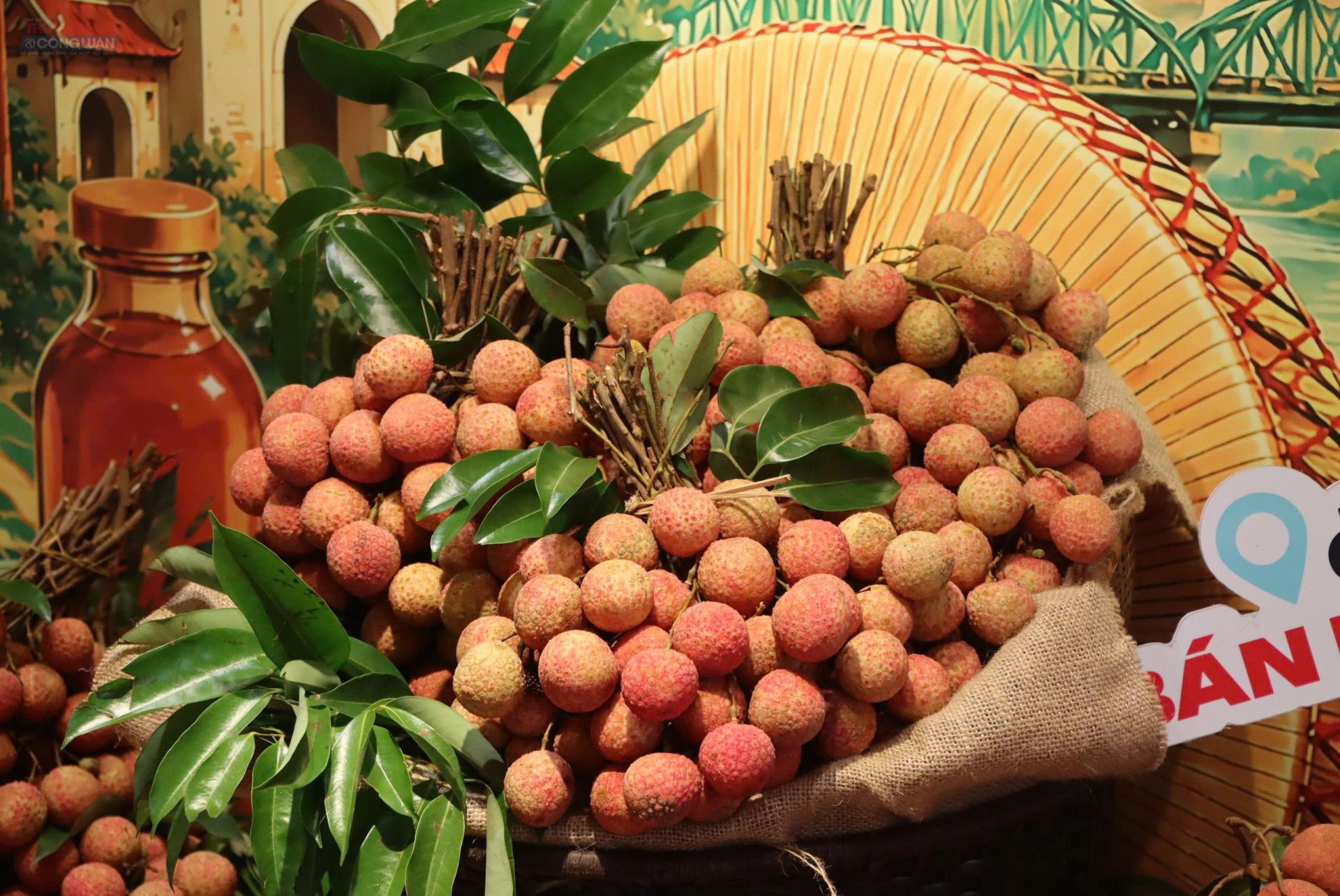 Sản phẩm vải thiều